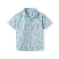 Shirts (13)